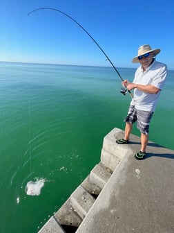 Fishing in Sarasota, Florida
