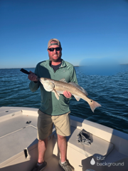 Fishing in Sarasota, Florida