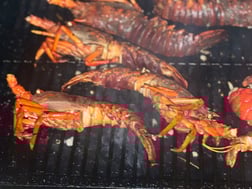 Fishing in Long Beach, California