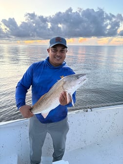 Fishing in New Orleans, Louisiana