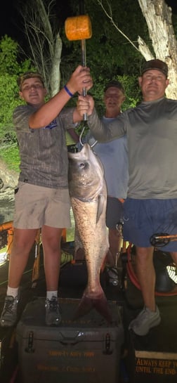 Fishing in Tunica, Mississippi