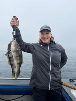 Fishing in Ventura, California