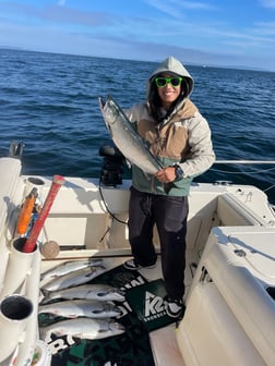 Fishing in Seattle, Washington