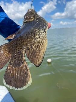 Fishing in Rockport, Texas