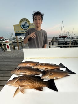 Fishing in Pensacola, Florida