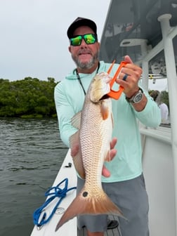 Fishing in Holmes Beach, Florida