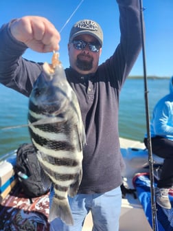 Fishing in Fort Myers Beach, Florida