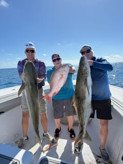Fishing in Key West, Florida