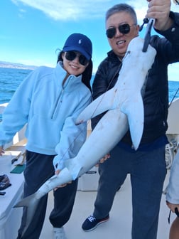 Fishing in Dana Point, California