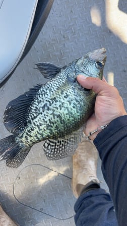 Fishing in Abilene, Texas