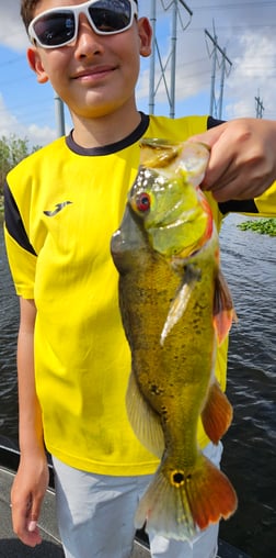 Fishing in Fort Lauderdale, Florida