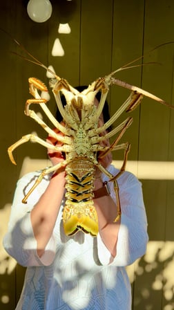 Fishing in Key West, Florida
