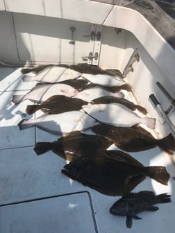 Fishing in Keyport, New Jersey