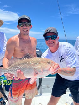 Fishing in Sarasota, Florida