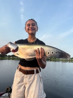 Fishing in West Palm Beach, Florida