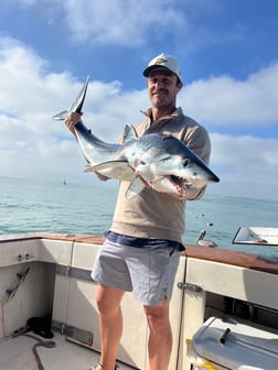 Fishing in Dana Point, California