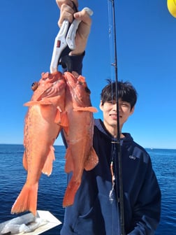 Fishing in Dana Point, California
