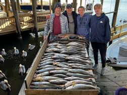 Fishing in New Orleans, Louisiana