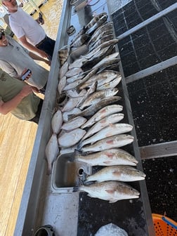 Fishing in Lake Charles, Louisiana