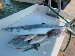 Fishing in Key West, Florida