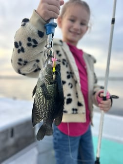Fishing in Port Orange, Florida