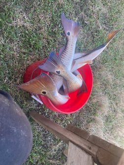 Fishing in Rockport, Texas