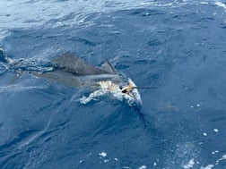 Fishing in Pompano Beach, Florida
