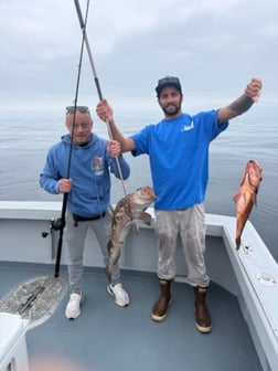 Fishing in Marina del Rey, California