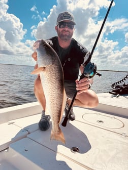 Fishing in Boca Grande, Florida