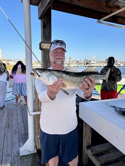 Fishing in Orange Beach, Alabama