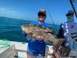 Cobia fishing in Marathon, Florida
