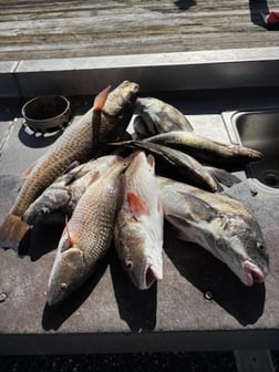 Fishing in Lake Charles, Louisiana