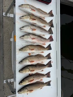 Fishing in Biloxi, Mississippi