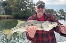 Fishing in Sarasota, Florida
