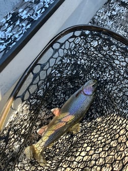 Fishing in Heber Springs, Arkansas