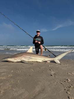 Fishing in Port Aransas, Texas