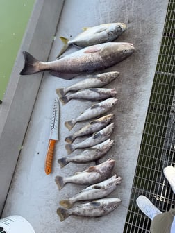 Fishing in St. Augustine, Florida