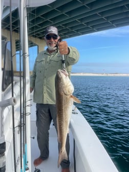 Fishing in Orange Beach, Alabama
