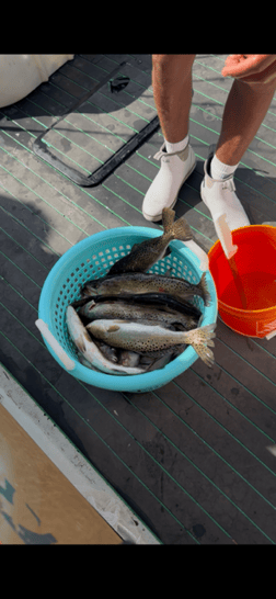 Fishing in St. Petersburg, Florida