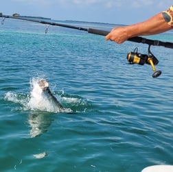 Fishing in Key West, Florida