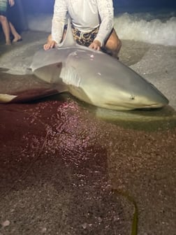 Fishing in Cape Coral, Florida