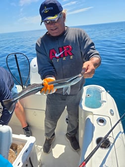 Fishing in Sarasota, Florida