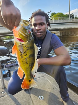 Fishing in Fort Lauderdale, Florida
