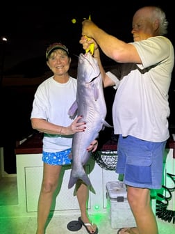 Fishing in Huntsville, Alabama