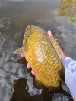 Fishing in Brainerd, Minnesota
