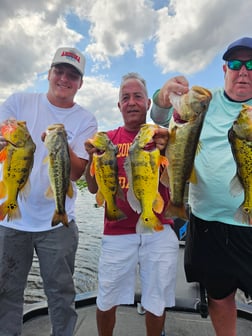 Fishing in Fort Lauderdale, Florida
