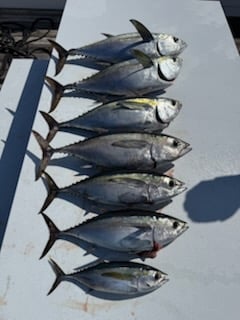 Fishing in Stuart, Florida