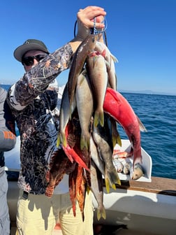 Fishing in Los Angeles, California