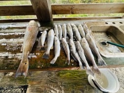 Fishing in Apalachicola, Florida