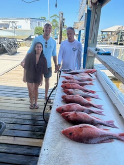 Fishing in Orange Beach, Alabama